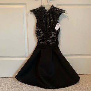 Windsor Gothic Romantic Skater Lace Dress